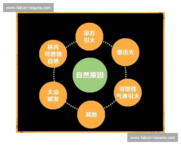 网球比赛得分规则解析及选手战略运用全面指南